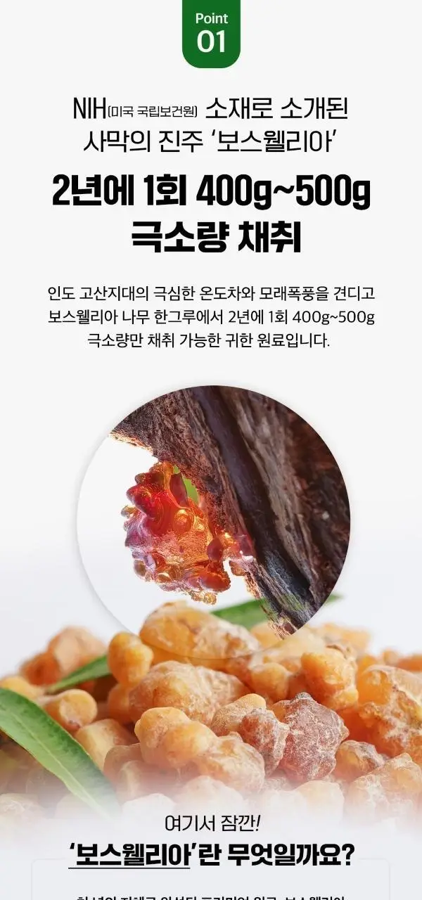 [이준혁PICK] 프롬바이오 위건강엔 매스틱/관절 연골엔 보스웰리아 30포/60정 (1개월분) 상세페이지 27